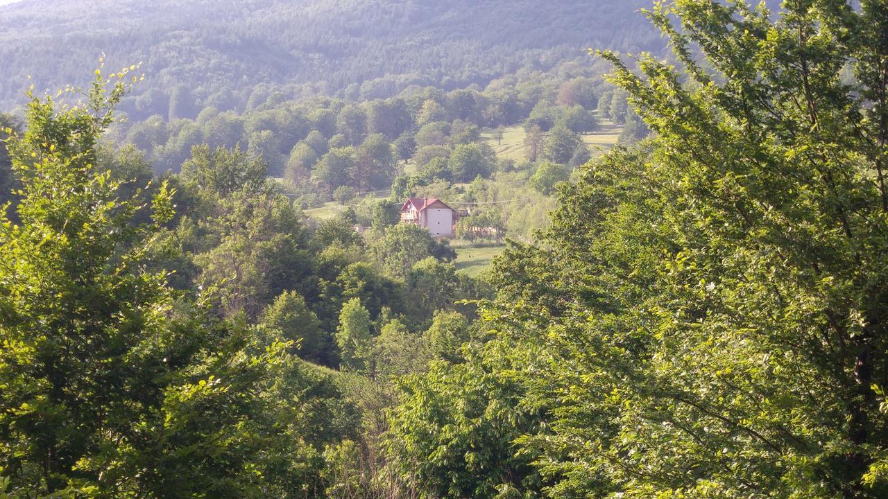 Отель Casa Din Piatra Пояна Экстерьер фото