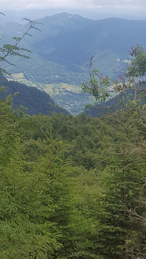Отель Casa Din Piatra Пояна Экстерьер фото