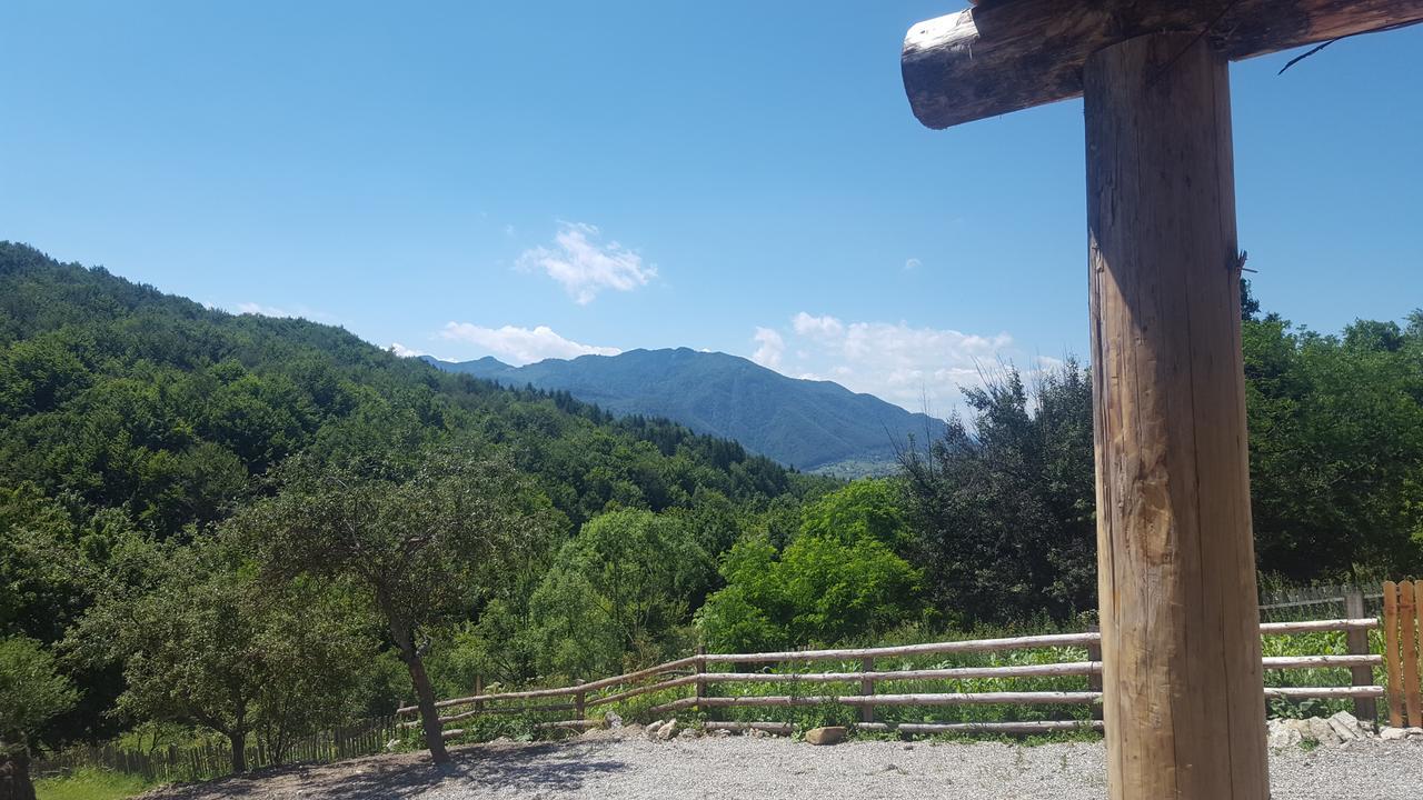 Отель Casa Din Piatra Пояна Экстерьер фото