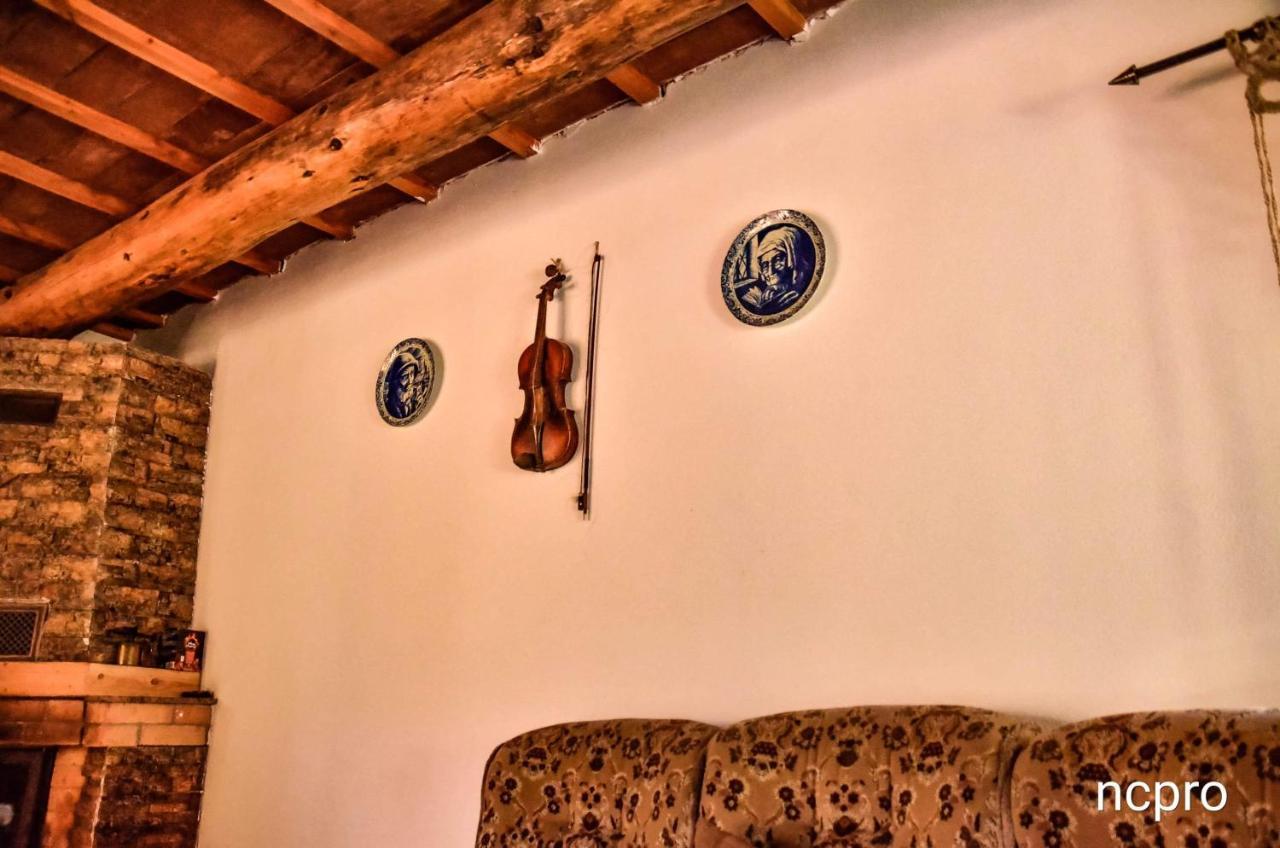 Отель Casa Din Piatra Пояна Экстерьер фото